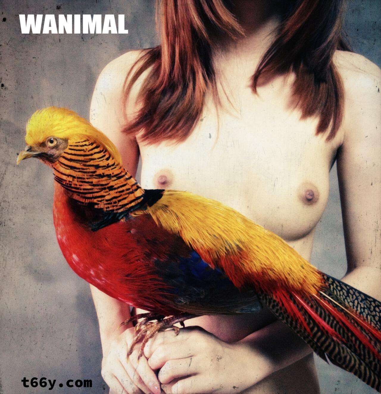 敞开：人与动物 赤裸生命直面虚无