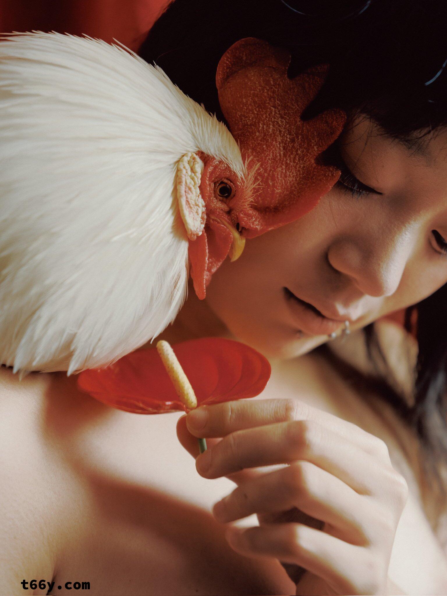 敞开：人与动物 赤裸生命直面虚无