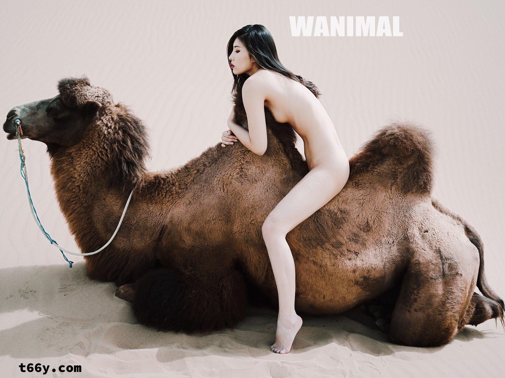 敞开：人与动物 赤裸生命直面虚无