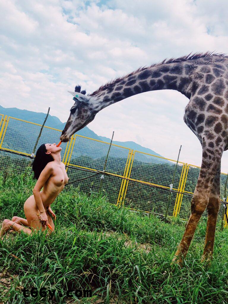 敞开：人与动物 赤裸生命直面虚无