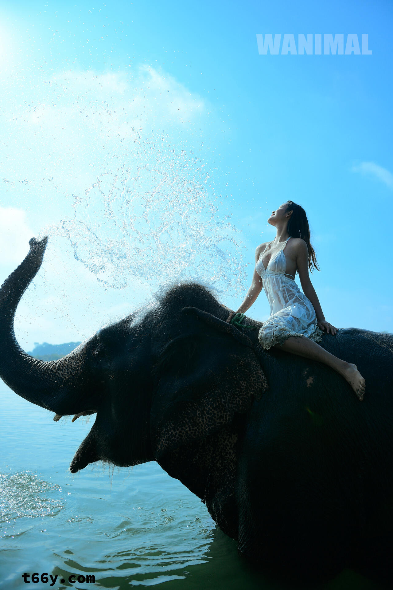 敞开：人与动物 赤裸生命直面虚无