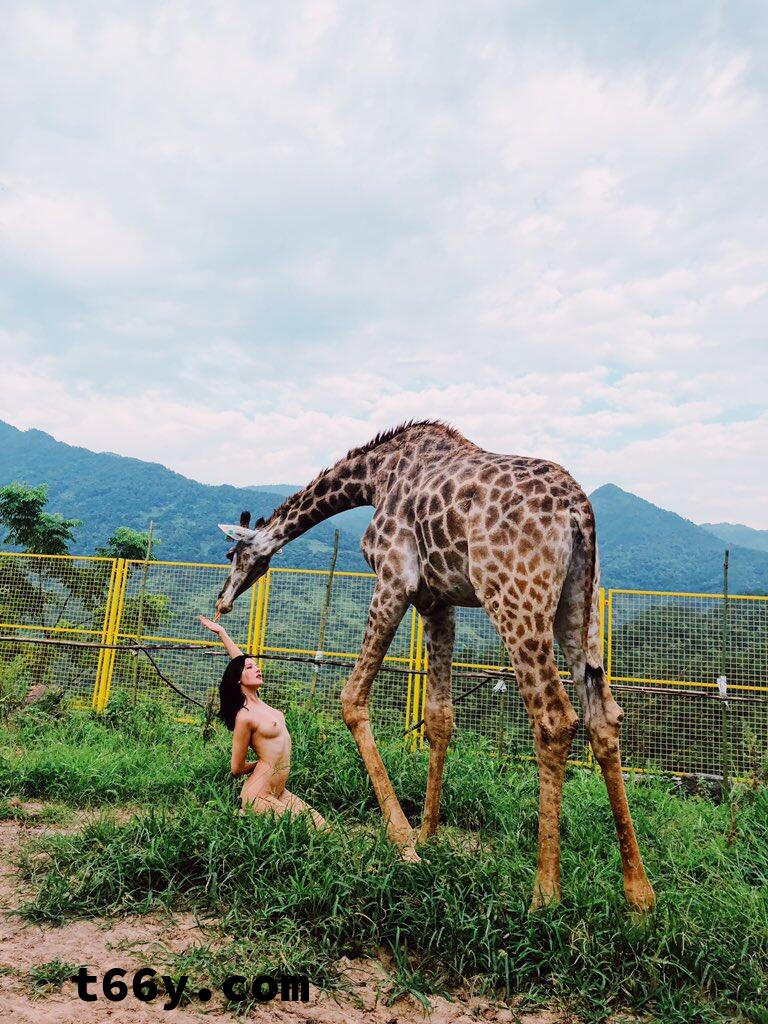 敞开：人与动物 赤裸生命直面虚无