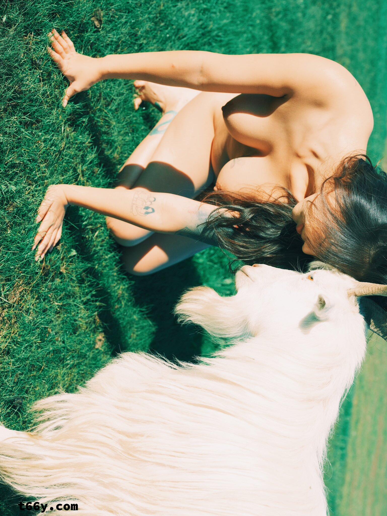 敞开：人与动物 赤裸生命直面虚无