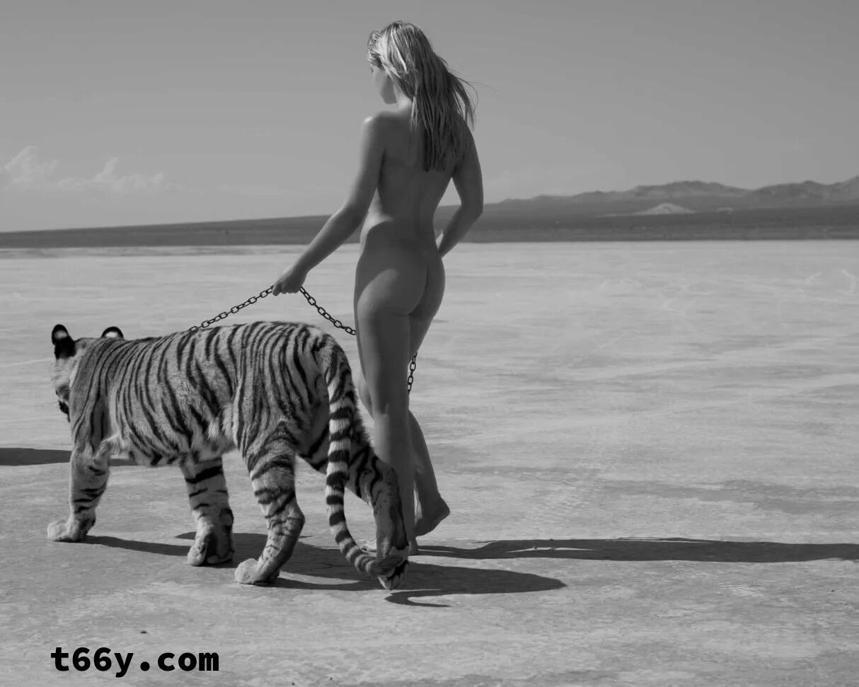 敞开：人与动物 赤裸生命直面虚无