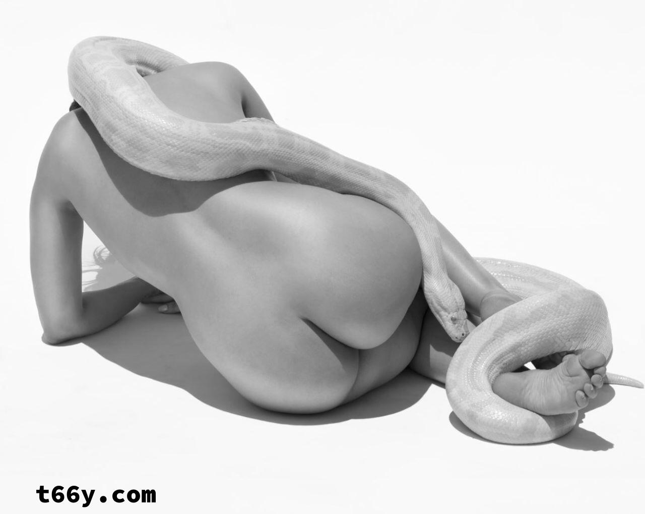 敞开：人与动物 赤裸生命直面虚无