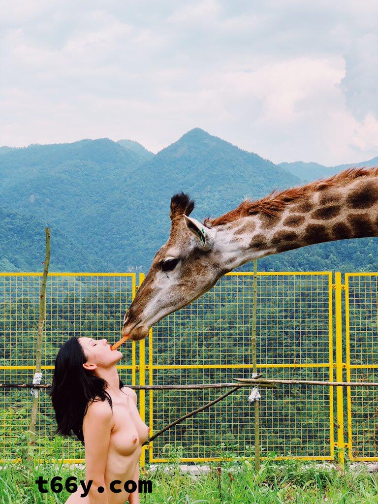 敞开：人与动物 赤裸生命直面虚无