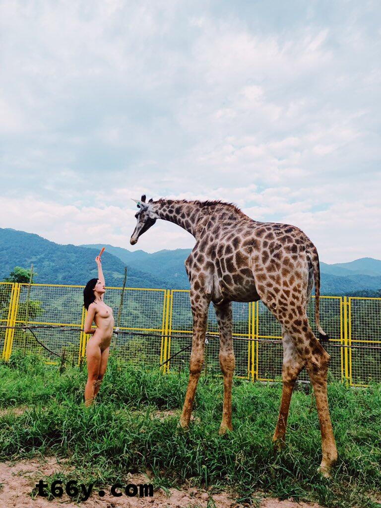 敞开：人与动物 赤裸生命直面虚无