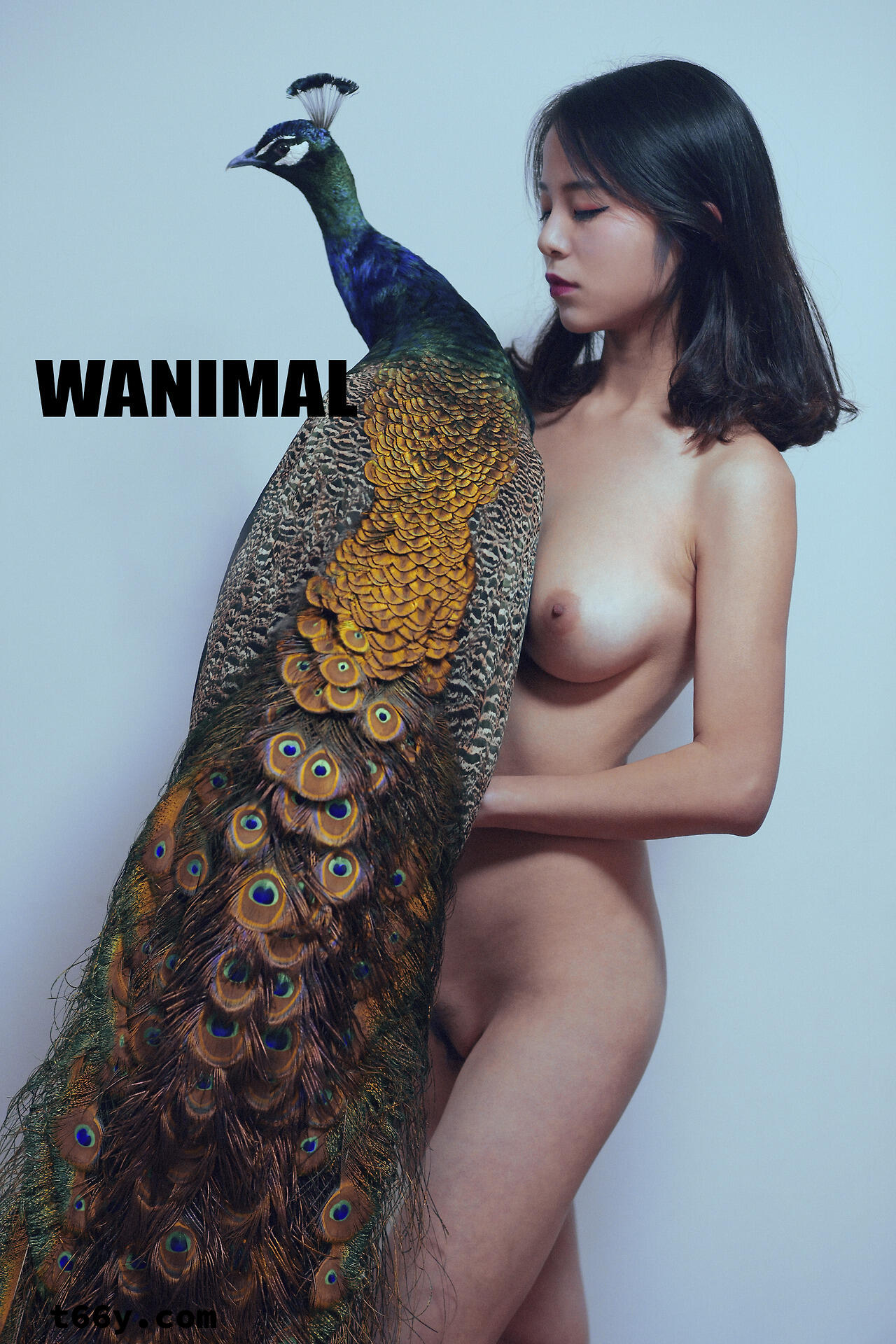 敞开：人与动物 赤裸生命直面虚无