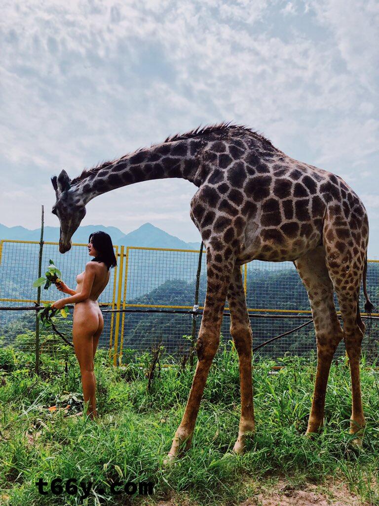 敞开：人与动物 赤裸生命直面虚无