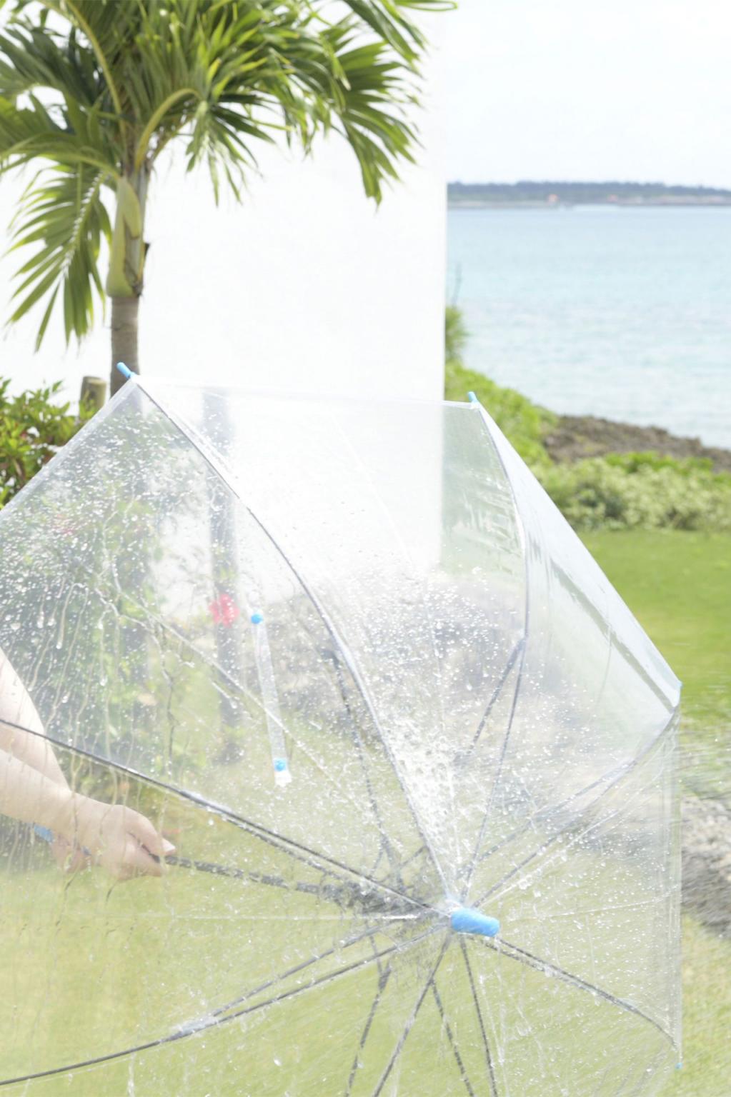 青空光 君のトリコ