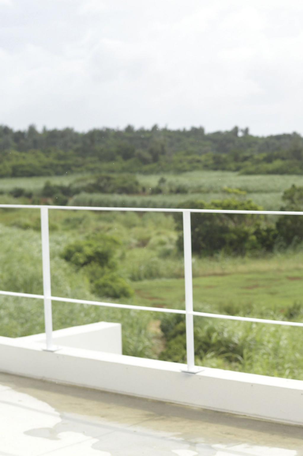 青空光 君のトリコ