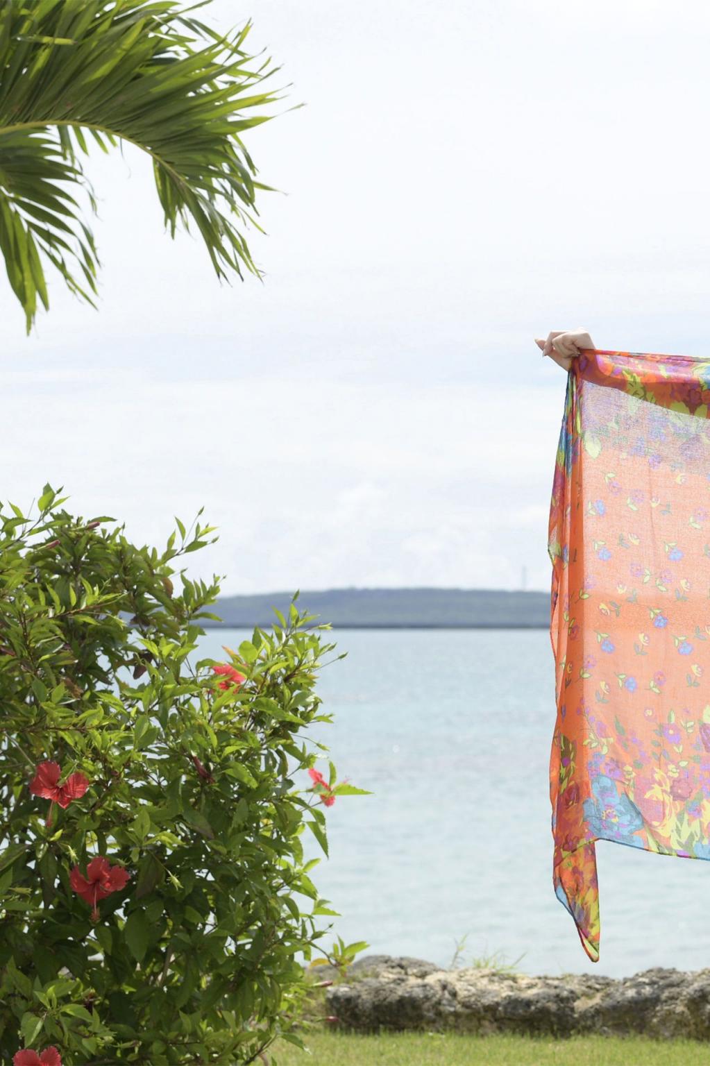 青空光 君のトリコ