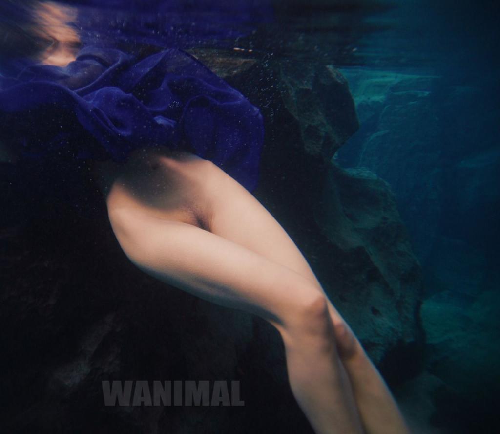 WANIMAL王动合集第1期