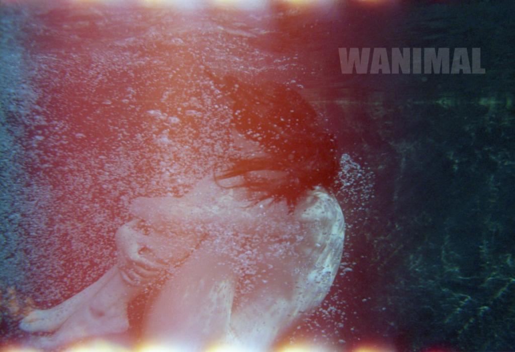 WANIMAL王动合集第1期