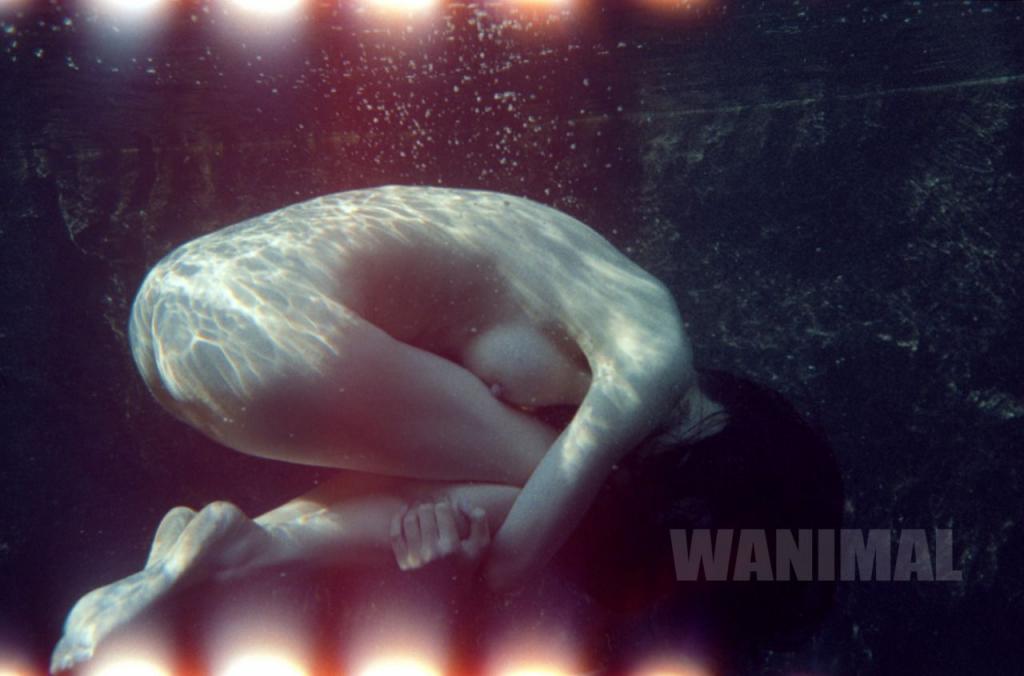 WANIMAL王动合集第1期