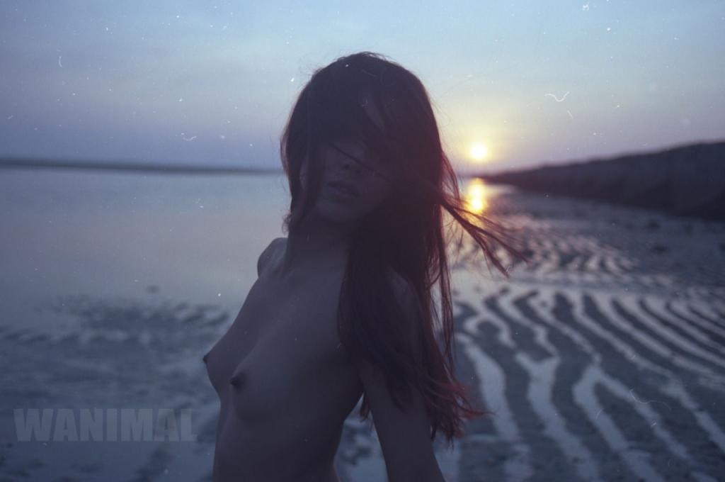 WANIMAL王动合集第2期