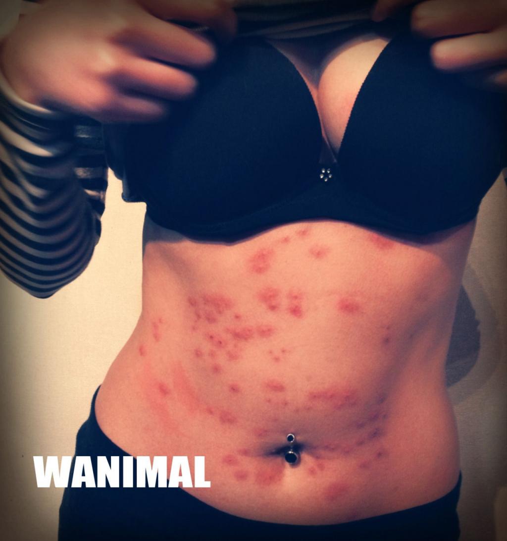 WANIMAL王动合集第2期