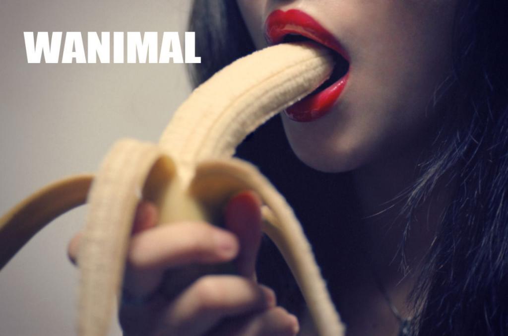 WANIMAL王动合集第2期