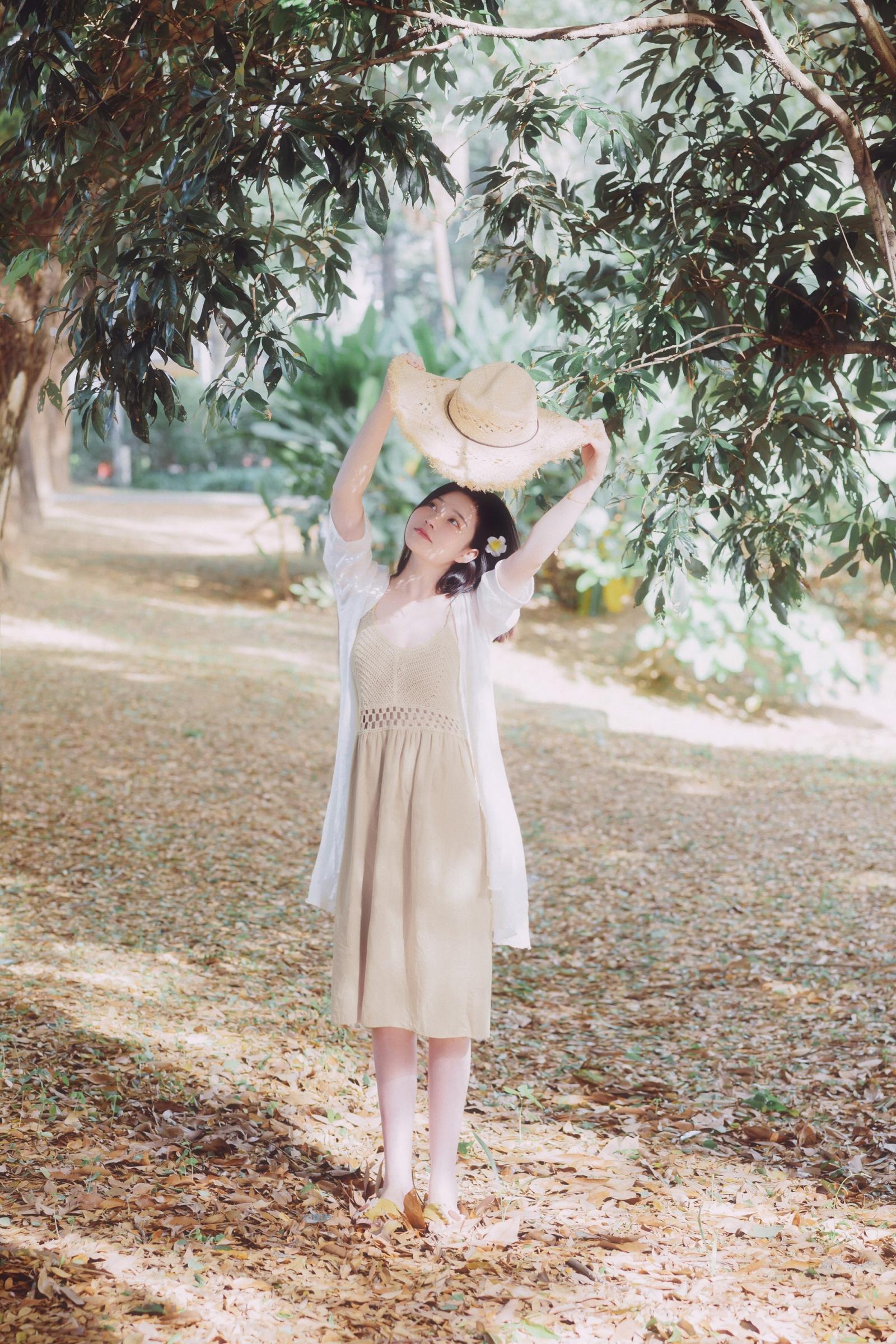 年年-安静的，没有风的午后