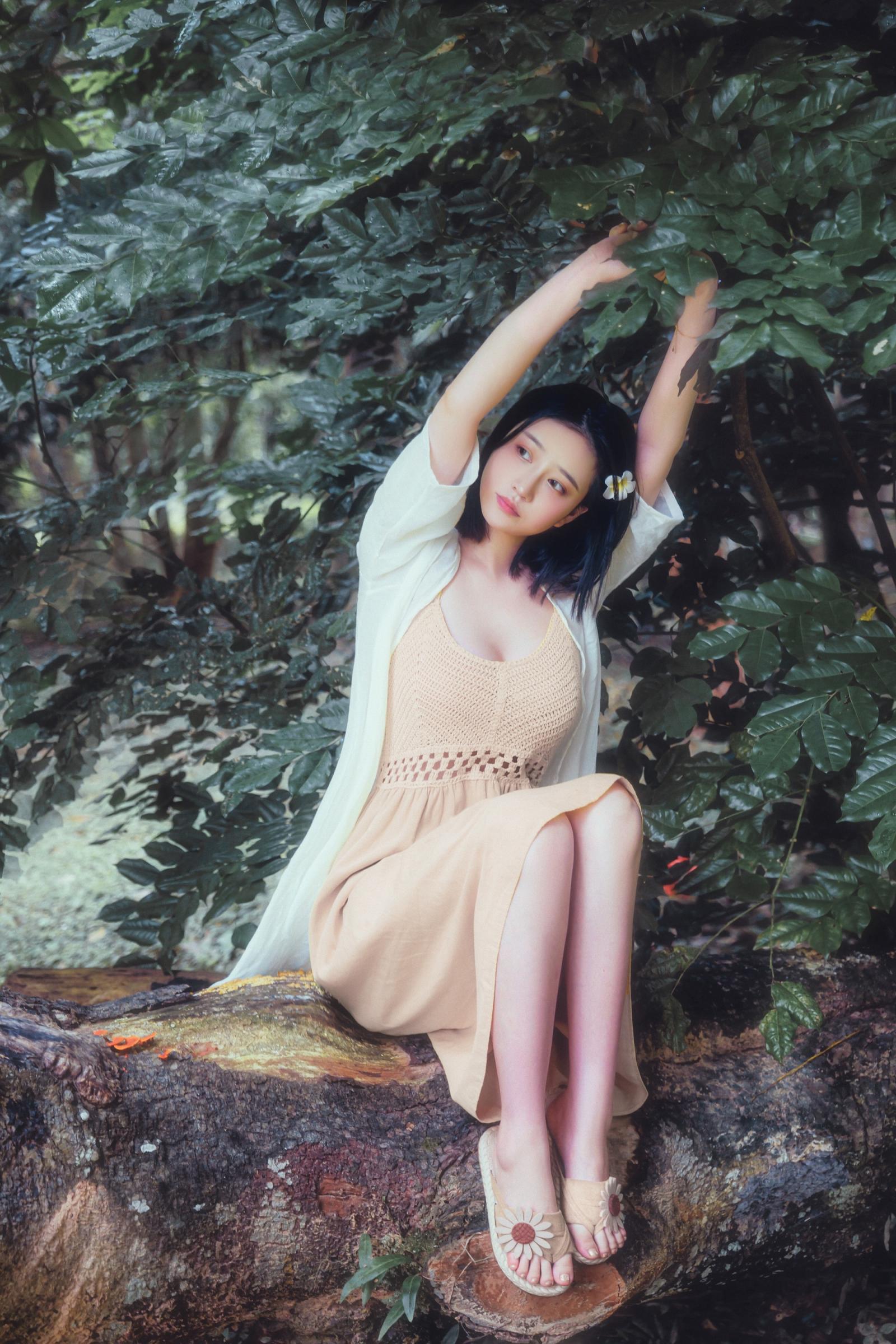 年年-安静的，没有风的午后