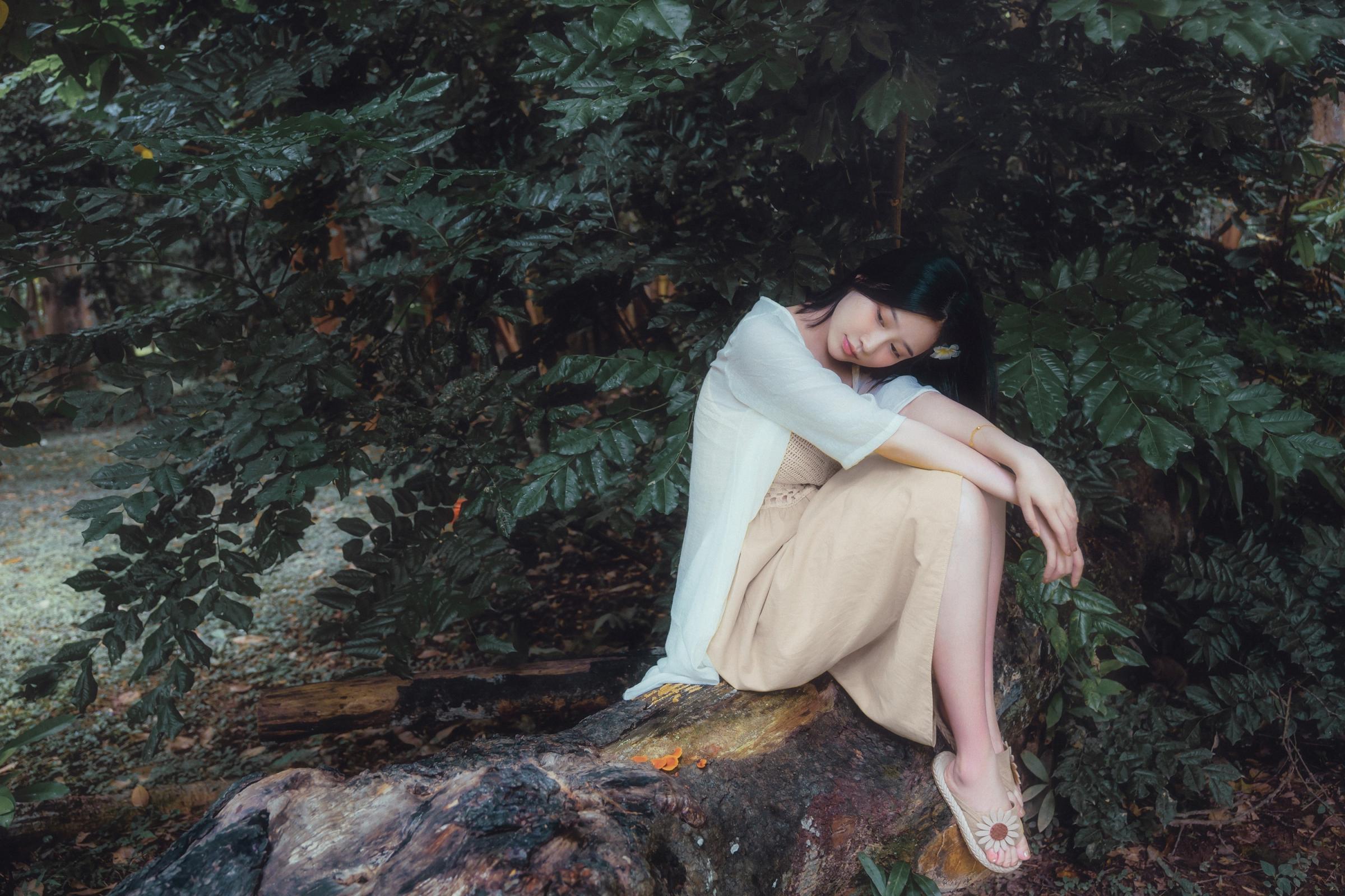 年年-安静的，没有风的午后