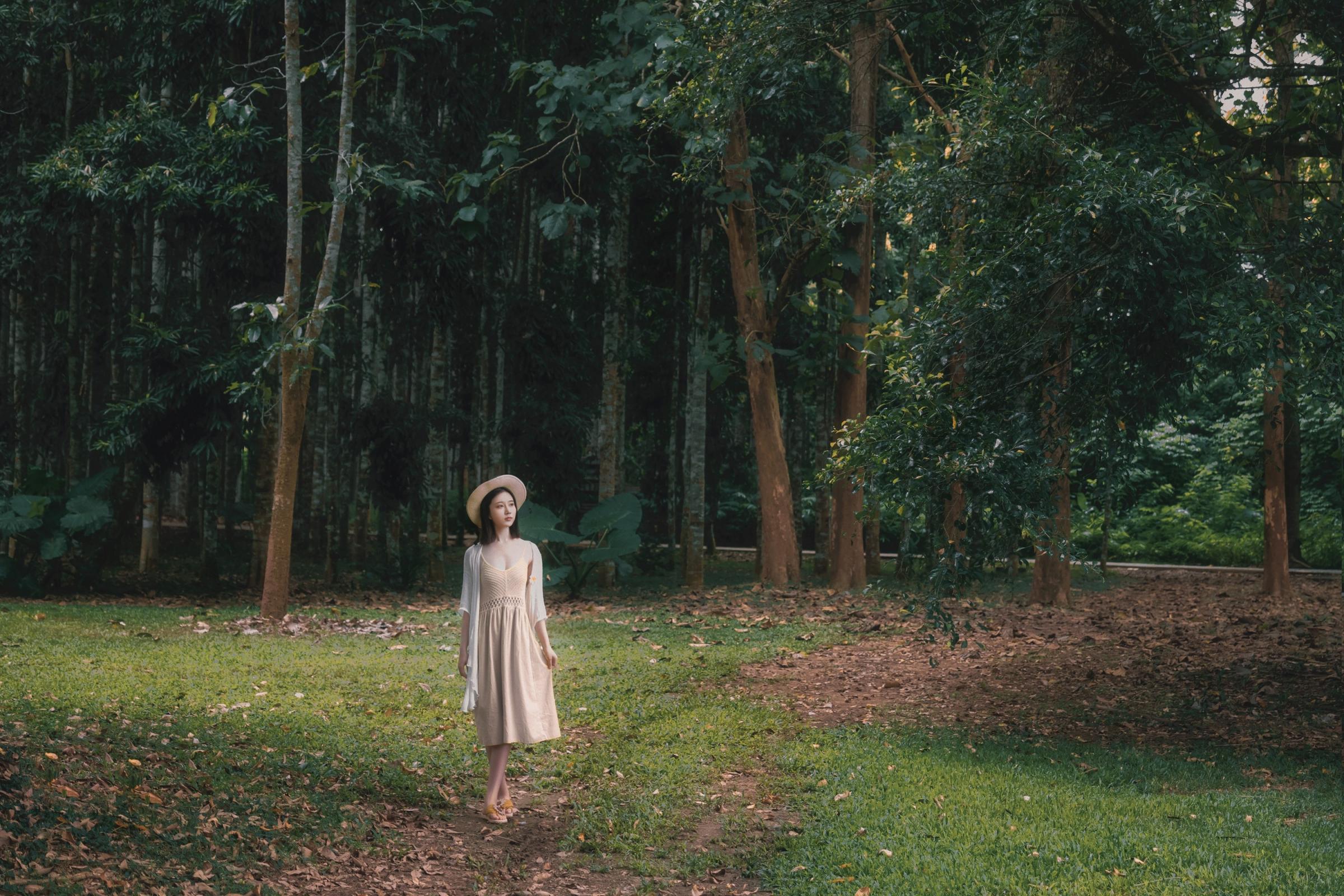 年年-安静的，没有风的午后