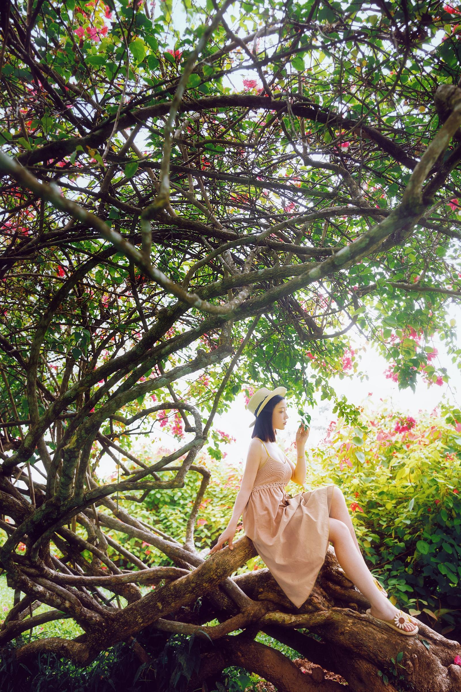 年年-安静的，没有风的午后